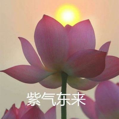 通用技术集团锚定“十五五”机床...